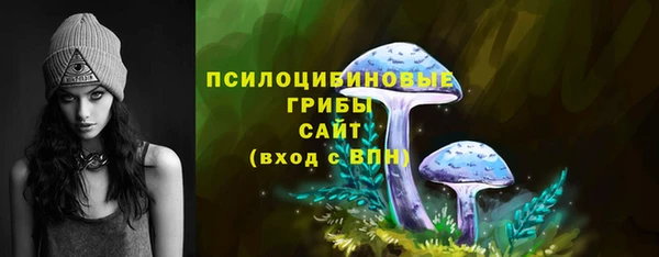мяу мяу мука Алексеевка