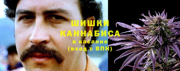 ГАЛЛЮЦИНОГЕННЫЕ ГРИБЫ Алексин