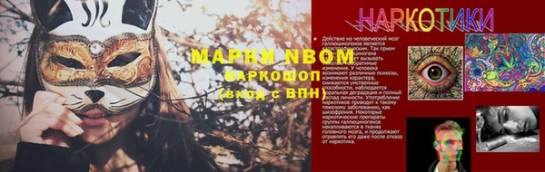ГАЛЛЮЦИНОГЕННЫЕ ГРИБЫ Алексин