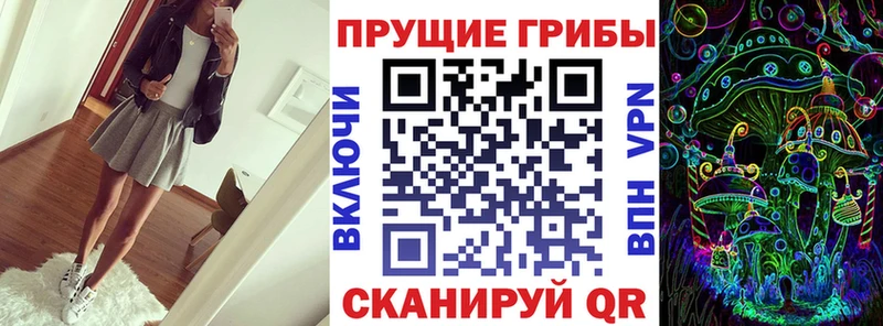 Галлюциногенные грибы Psilocybe  Полтавская 